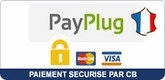 1167-p{165}-telechargement-copier